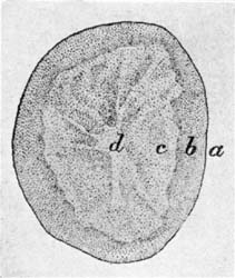 Fig. 9.