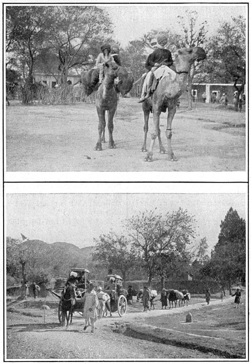 Reizen per kameel.
Reizen in ekka’s met kampuitrusting.
