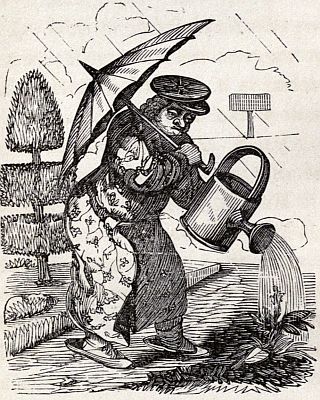 The Caricature Edward drew of the Gardener.