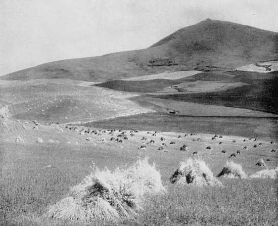 "The Palouse dweller pictures wheat fields." The grain
country of eastern Washington