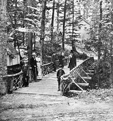 Rustic Bridge over Ravine