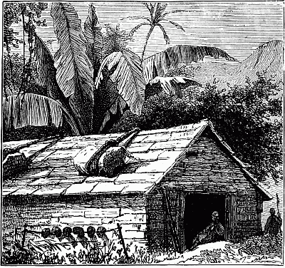 HUT OF ONE OF THE SAVAGE TRIBES.