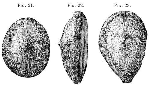 Fig. 21, 22 and 23