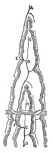 Fig 13