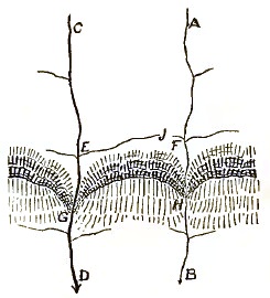Fig 14
