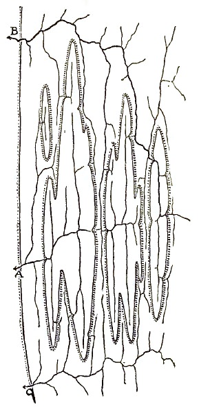 Fig 20