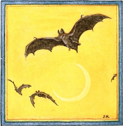 bats flying
