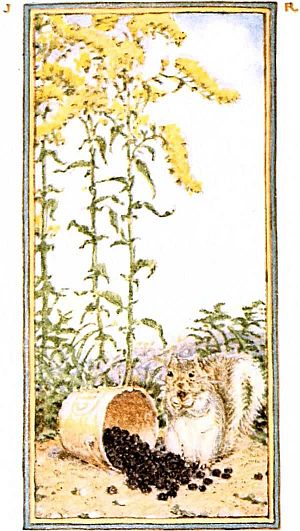 goldenrod and squirrel