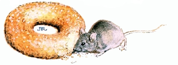 donut and mouse