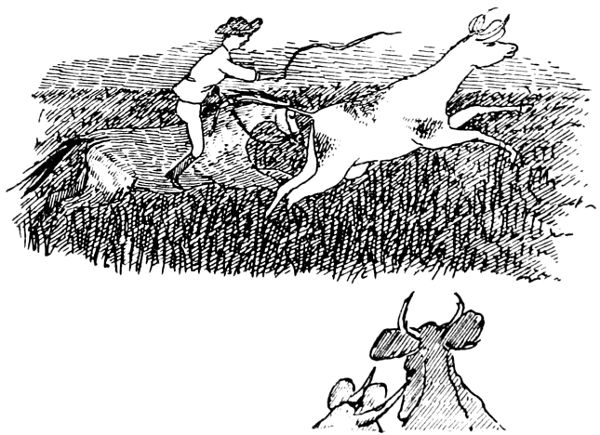 horseman chasing cow
