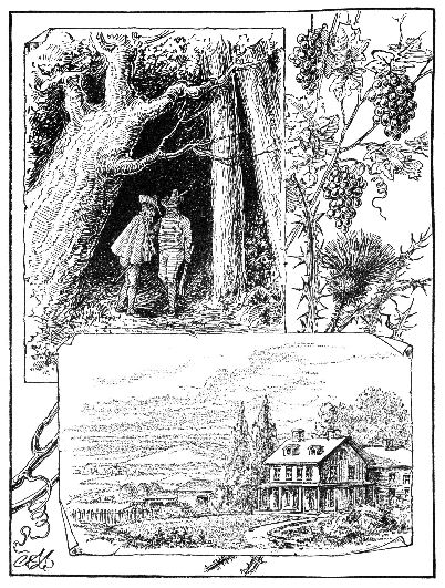 couple walking in woods and a house