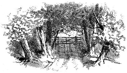 gate surrounded by trees