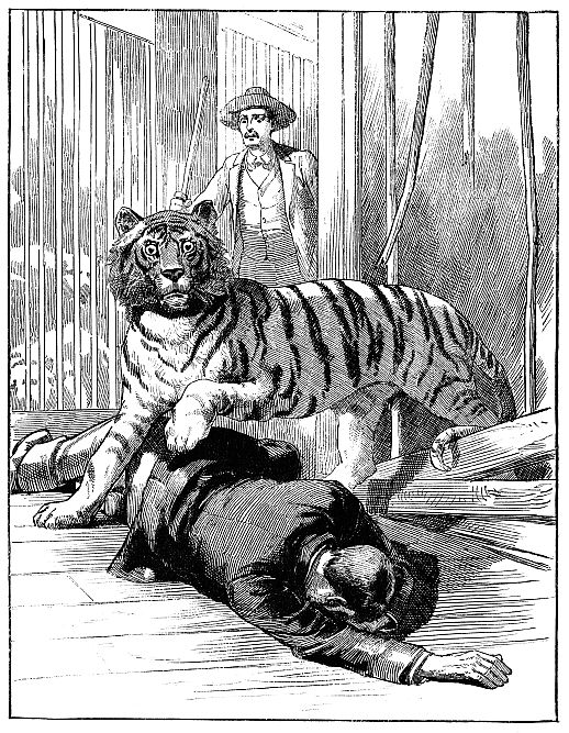 tiger over man on floor; man in background with stick