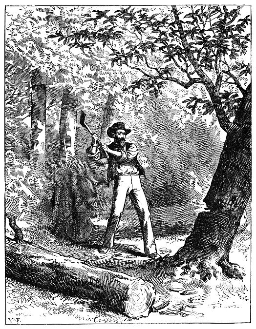 man swinging axe at tree
