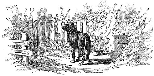 a dog by a fence
