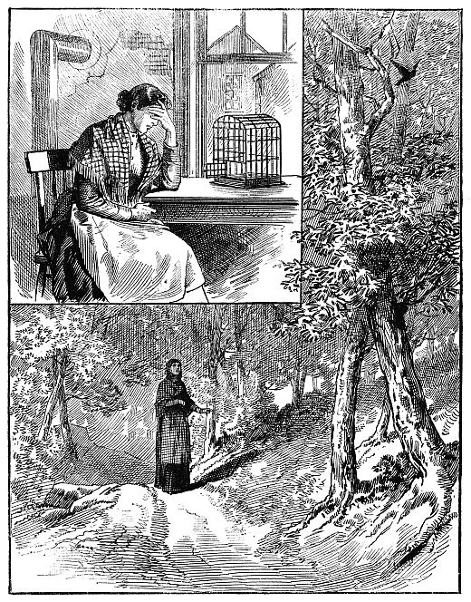 woman by birdcage; woman walking in woods