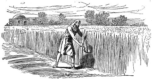 Biblical man working in field