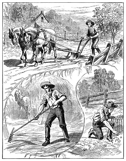 farmer working in three scenes
