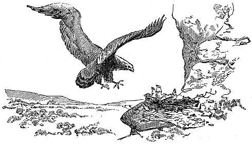 Eagle flaying toward nest holding eaglets