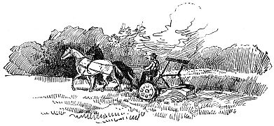 man sitting in plow behind horse