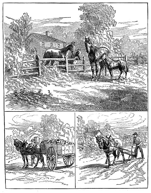 two mares discussing their foals in top scene; bottom left horse pulling cart; bottom right: horse pulling plow
