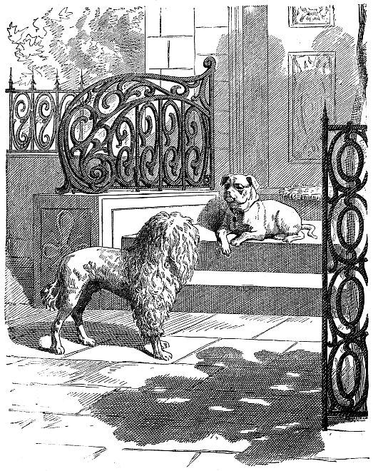 Poodle talking to pug who is lying on front stoop