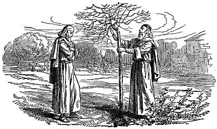 two Biblical men looking at young tree