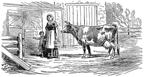 woman, child and a cow