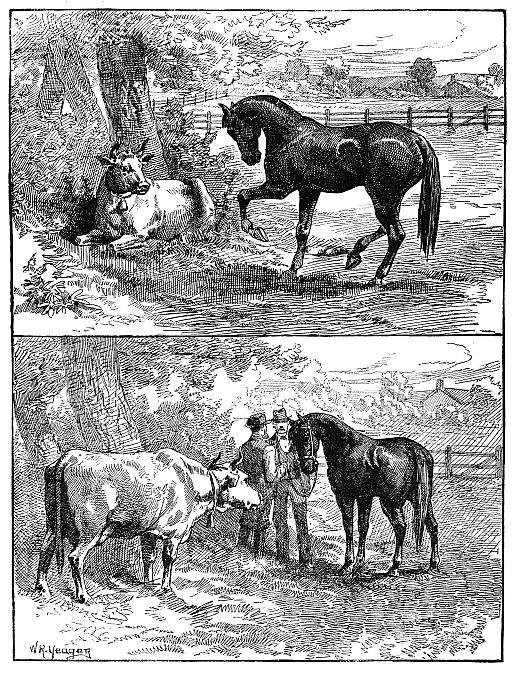 top scene: horse boasting of own beauty to cow; bottom scene: horse being sold