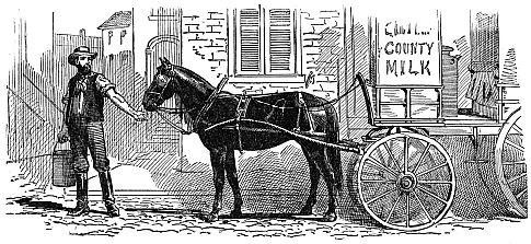 horse pulling milk cart