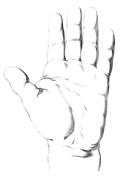 Elementary Hand.