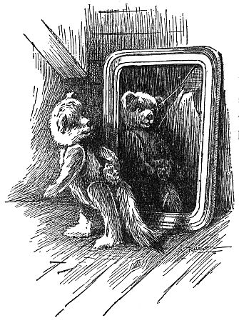 bear holding tail up to self looking in mirror