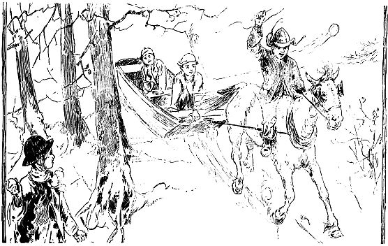 sleigh pulled by horse going through woods