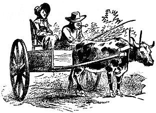 man and wife in wagon pulled by ox
