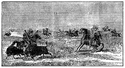 Indians hunting buffalo