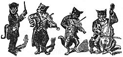 cat band