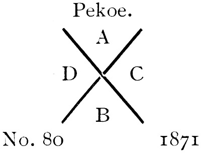 Pekoe. A C B D. No. 80 1871