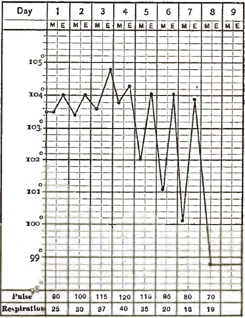 Lobar Pneumonia, where the Crisis was marked
			with Evening Exacerbations