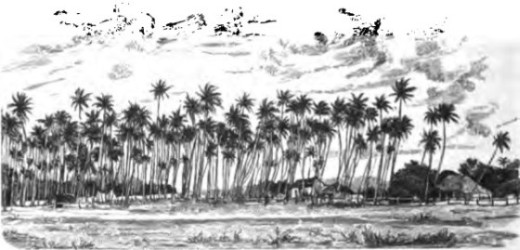 Eingeborenen-Dorf unter Palmen.