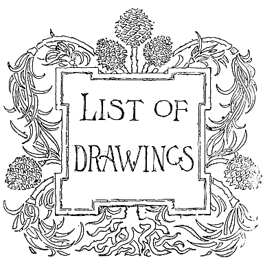 List of Drawings