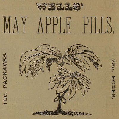 May apple plant, captioned WELLS’ MAY APPLE PILLS. 10c. PACKAGES. 25c. BOXES.