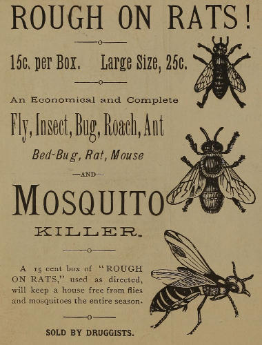 Advert text: ROUGH ON RATS! 15c. per Box. Large Size, 25c.
An Economical and Complete Fly, Insect, Bug, Roach, Ant Bed-Bug, Rat, Mouse
AND Mosquito KILLER. A 15 cent box of “ROUGH ON RATS,” used as directed,
will keep a house free from flies and mosquitoes the entire season. SOLD BY DRUGGISTS.