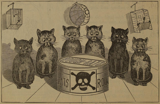 Six cats looking, mournfully, at a tin of Rough on Rats