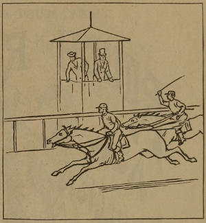 A horse race