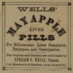 Advert text: WELLS’ MAY APPLE LIVER PILLS For Biliousness, Liver Complaint, Dyspepsia and Constipation. The Original and Genuine are only made by
EPHRAIM S. WELLS, Chemist, Cor. Monticello & Harrison Aves. Jersey City.