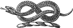 Snake emblem