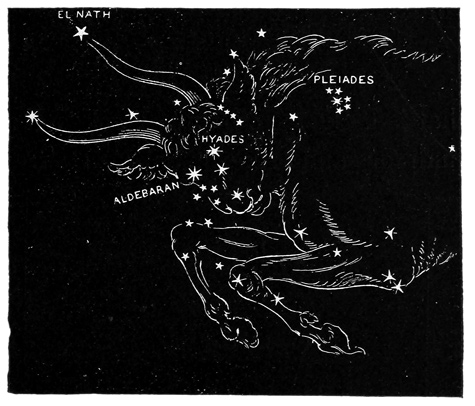THE BULL, AND THE PLEIADES.