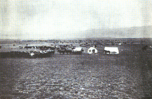 Roundup Camp—Fall of 1896—DHS and CK Outfits On the Big Dry near Oswego, Montana