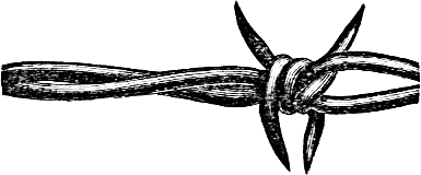 a 4 pointed barb