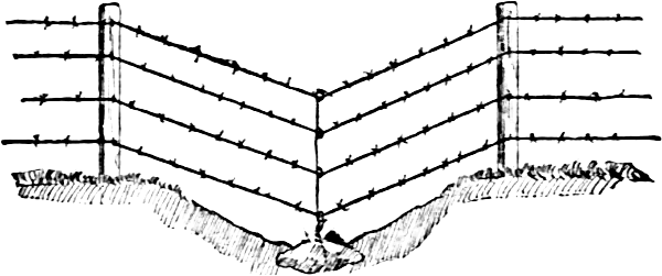 barb wire fence across a hollow